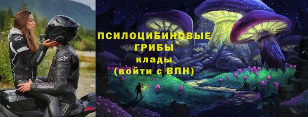 а пвп мука Алзамай