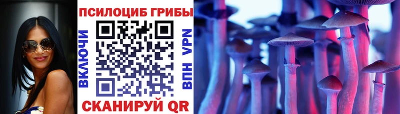 Галлюциногенные грибы прущие грибы  Краснознаменск 